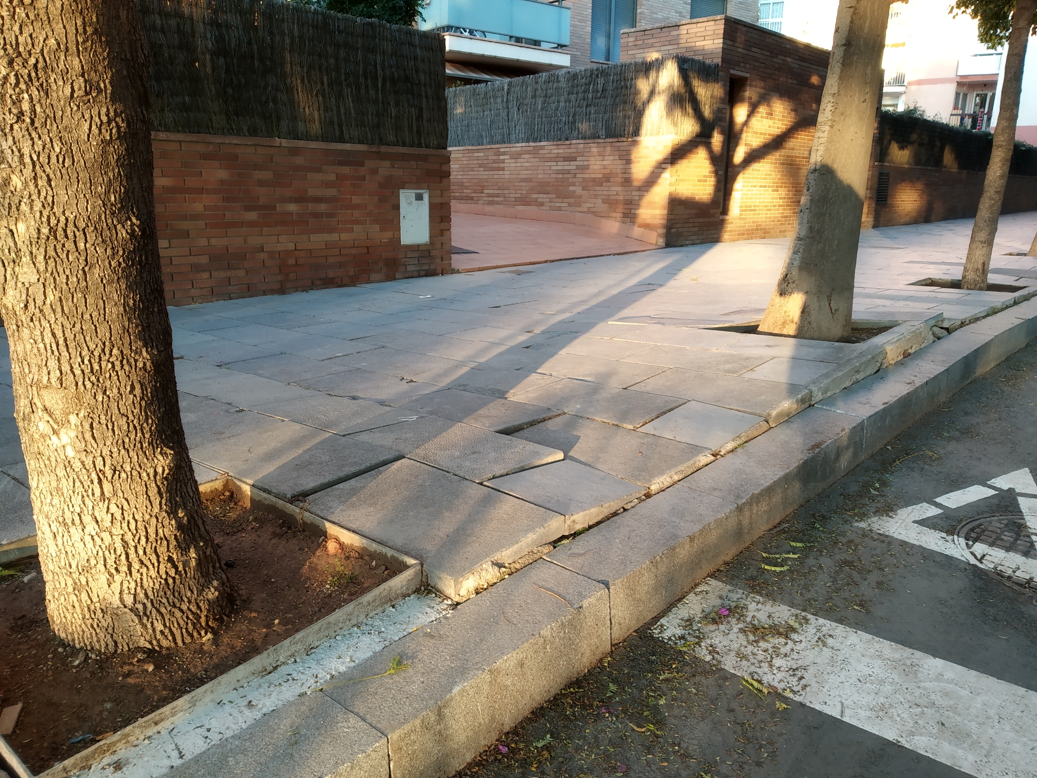 Media picture: Treure els arbres i fer una vorera nova al carrer Prolongació Falguera, en el tram que va entre el carrer Sant Josep i el carrer Barcelona