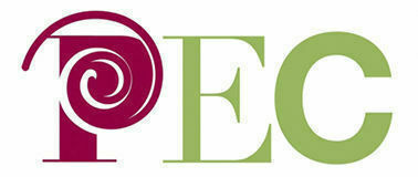 Media picture: City Educational Project