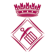 Decidim Sant Feliu's official logo